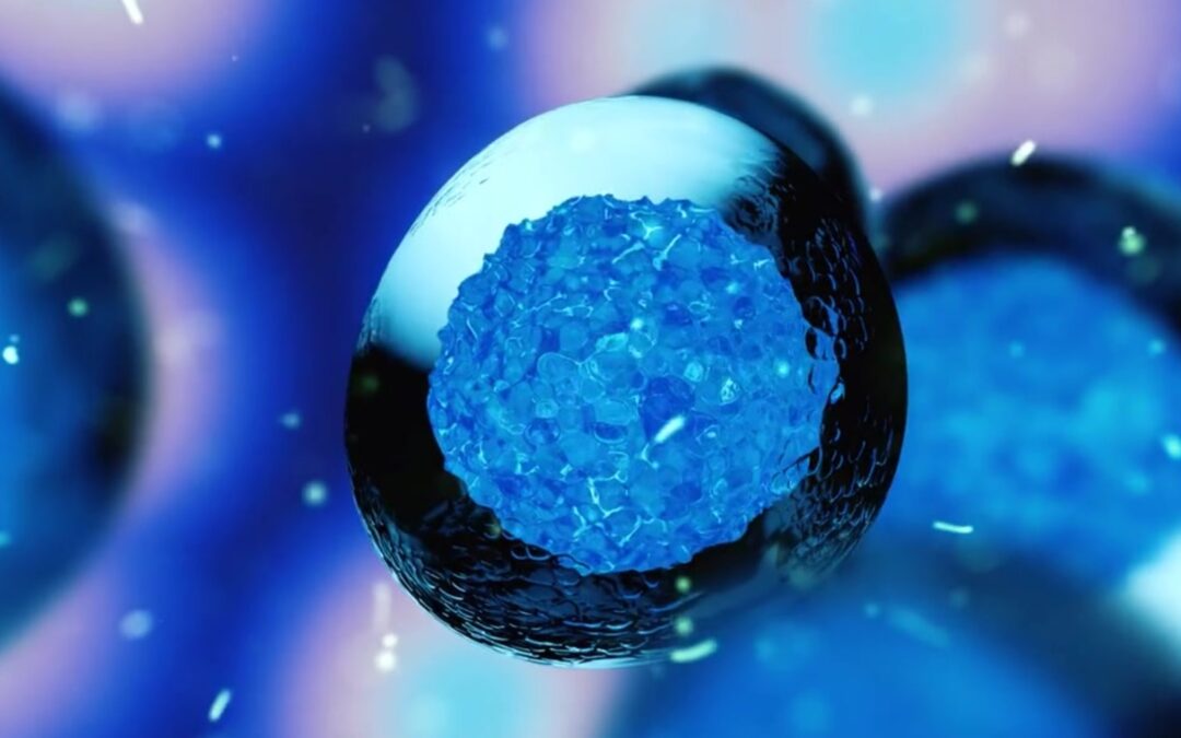 Mesenchymal Stem Cells from Placenta and Umbilical Cord